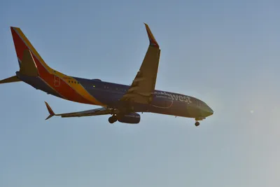 DSC_5678 (Large).JPG